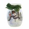 Stony Creek 4.0 Inch Snowman W/Lanp Post Sm Vase Christmas Lighted Glass Accent , Christmas Decor Christmas Electric Pre-Lit